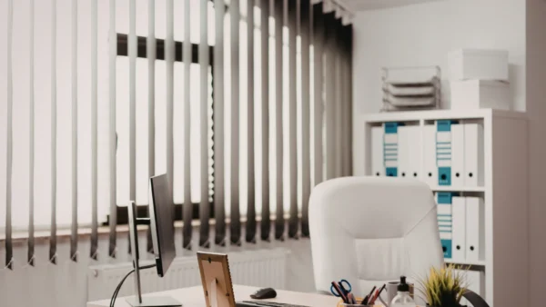 Vertical Blinds Types